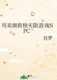用美颜救赎无限游戏npc完整