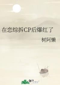 在恋综拆cp后爆红了