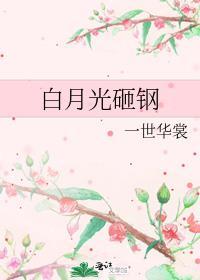 白月光砸钢by一世华裳讲的什么