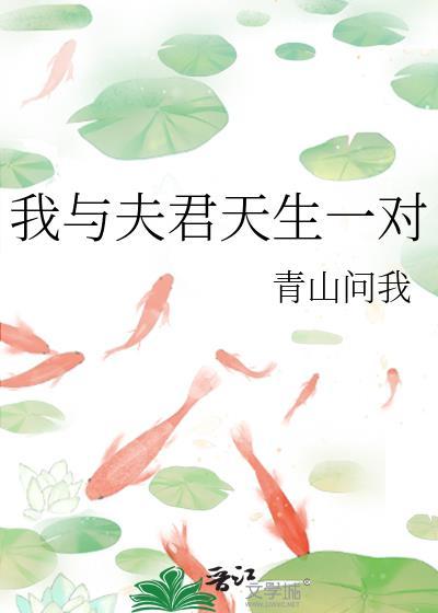 我与夫君天生一对全文阅读