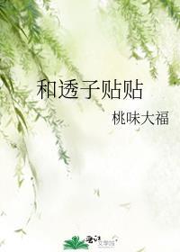 透贴是什么