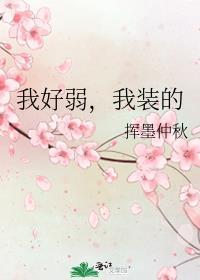 我装的全文免费阅读