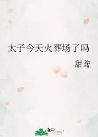 太子今天追妻火葬场了吗晋江