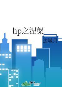 hp之凤凰涅槃