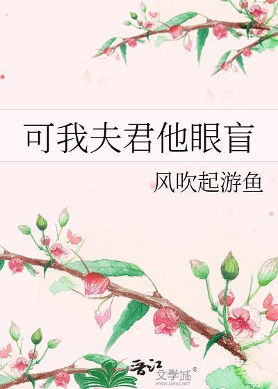 可我夫君他眼盲施玉儿沈临川