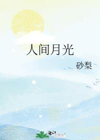 人间月光砂梨