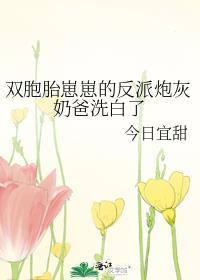 双胞胎的宠娃狂魔
