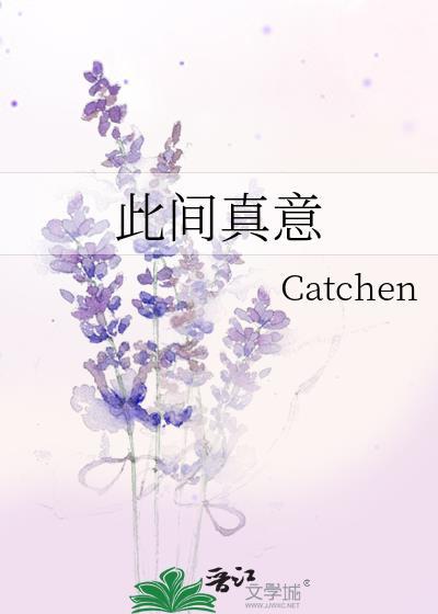 此间真意txt