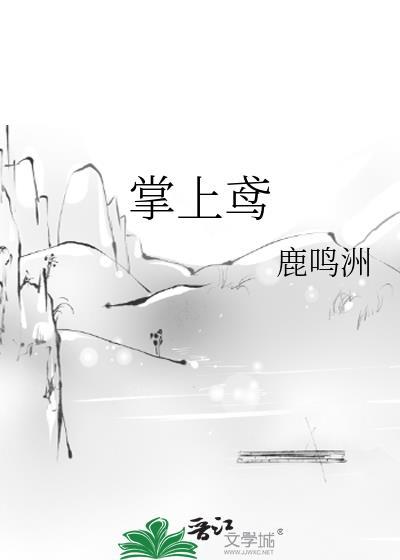 掌上鸢一鹿小羊作者