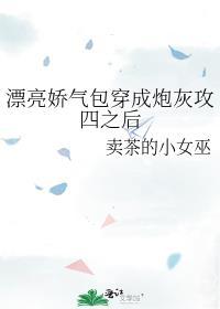 漂亮娇气包穿成炮灰攻四之后番外