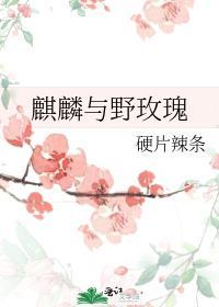 麒麟与野玫瑰免费阅读全文