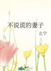 不说谎的妻子番外篇笔趣阁