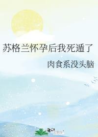 苏格兰老公