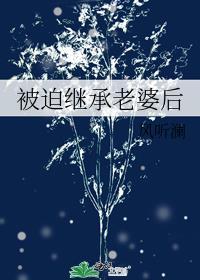 被迫继承老婆后风听澜最新章节更新免费阅读