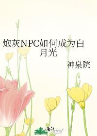 炮灰npc如何成为白月光txt