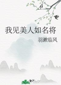 我见美人如名将百度