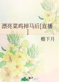 漂亮菜鸡掉马后晋江