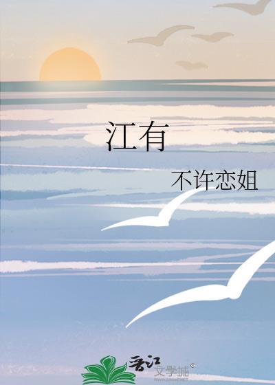 江有限公司