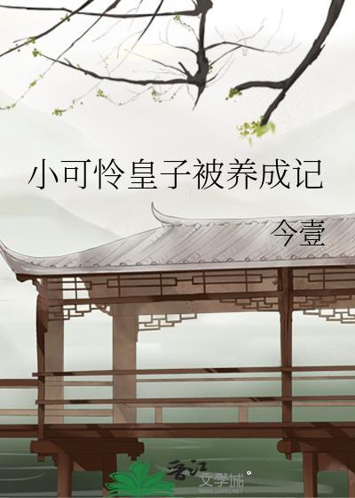 救赎小可怜皇子之后