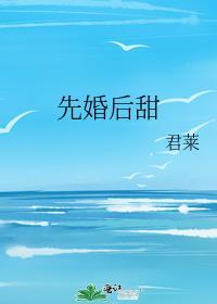 先婚后甜免费阅读