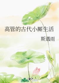 高管的古代小厮生活好看吗