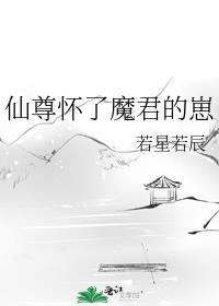 仙尊怀了魔君的崽 柚子君