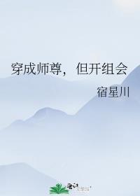 穿成师尊但开组会278