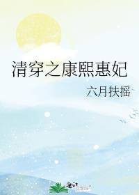 清穿之康熙惠妃作者沉行原