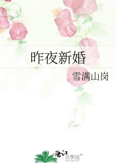 昨夜新婚作者雪满山岗