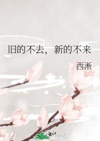 旧的不去新的不来是啥