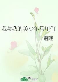 我与我的美少年马甲们追书