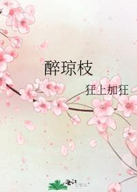 醉琼枝番外