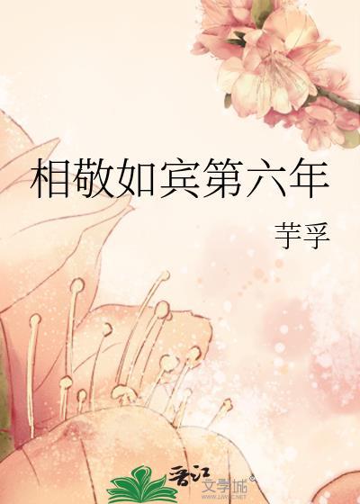 相敬如宾第六年by芋孚