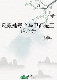 反派她每个马甲都是正道之光百度