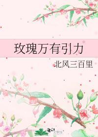 玫瑰万有引力txt