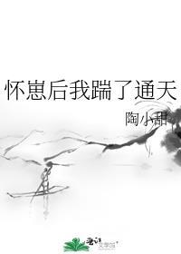 怀崽后我踹了通天陶少