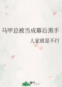 马甲文幕后黑手流