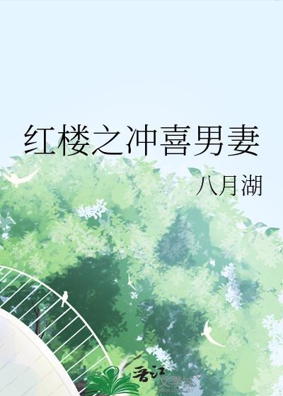 红楼之冲喜男妻晋江