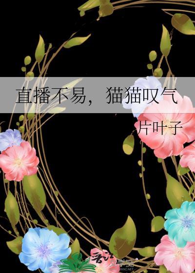 猫猫叹气作者弈落千山
