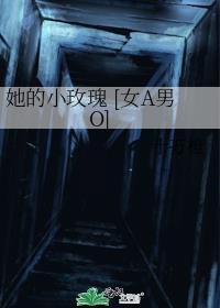 她的小玫瑰女a男o十万橙
