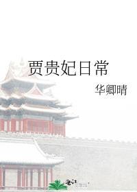 贾贵妃日常txt