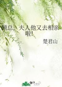 夫人又使美人计了许织绮