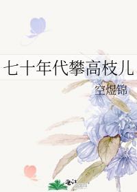 七十年代攀高枝儿空煜锦 笔趣阁