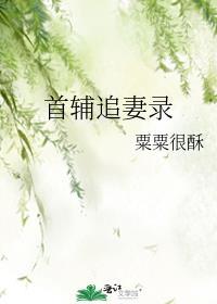 首辅宠妻录by