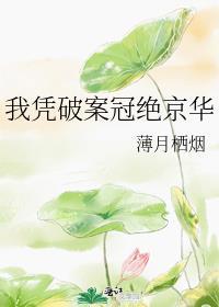 我凭破案冠绝京华完整版