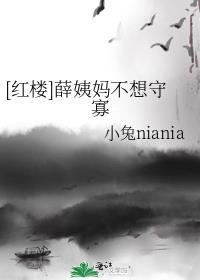 红楼梦里薛姨妈姓什么