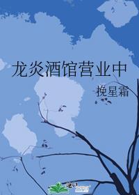 龙炎公司