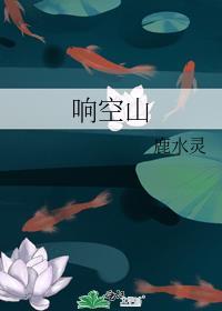 响空山鹿水灵免费阅读