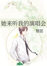她来听我的演唱会txt 百度