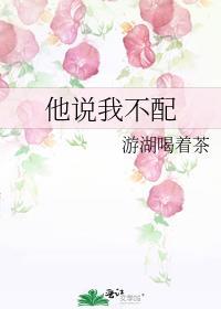 他说我不配全文免费阅读
